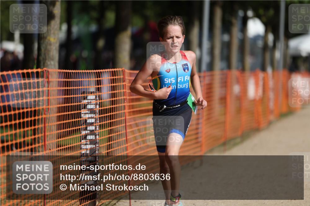 07.09.2025 - 19. Norderstedt Triathlon Michael Strokosch http://msf.ph/oto/8803636 07.09.2025 11:02:46 Laufen 56, 66 meine-sportfotos.de