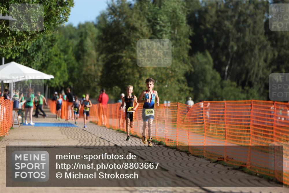 07.09.2025 - 19. Norderstedt Triathlon Michael Strokosch http://msf.ph/oto/8803667 07.09.2025 09:43:14 Laufen 556 meine-sportfotos.de