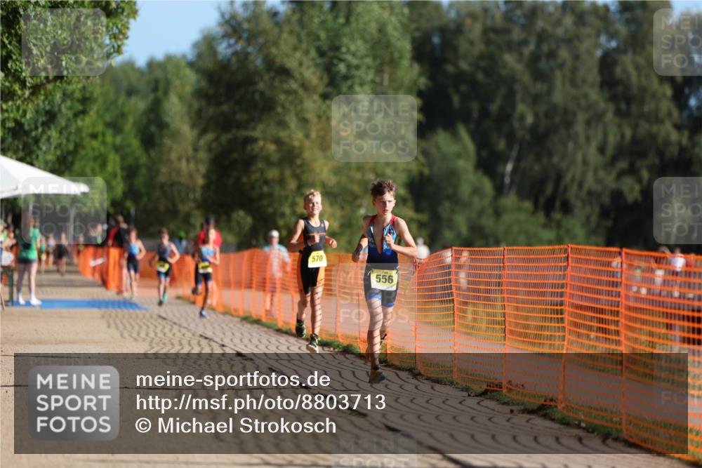 07.09.2025 - 19. Norderstedt Triathlon Michael Strokosch http://msf.ph/oto/8803713 07.09.2025 09:43:16 Laufen 556, 570 meine-sportfotos.de