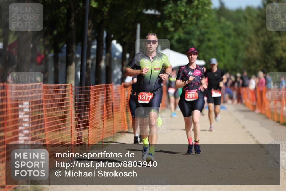07.09.2025 - 19. Norderstedt Triathlon Michael Strokosch http://msf.ph/oto/8803940 07.09.2025 12:05:44 Laufen 201, 237, 815, 1225, 1377 meine-sportfotos.de