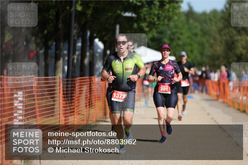 07.09.2025 - 19. Norderstedt Triathlon Michael Strokosch http://msf.ph/oto/8803962 07.09.2025 12:05:44 Laufen 201, 237, 815, 1225, 1377 meine-sportfotos.de