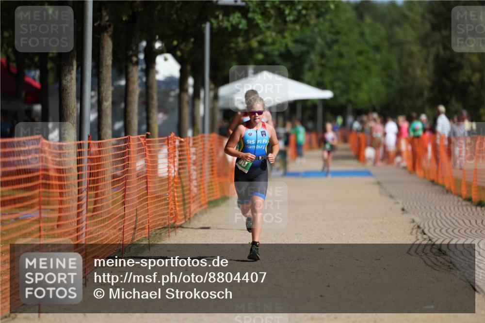 07.09.2025 - 19. Norderstedt Triathlon Michael Strokosch http://msf.ph/oto/8804407 07.09.2025 11:04:39 Laufen 100, 110, 641, 650 meine-sportfotos.de