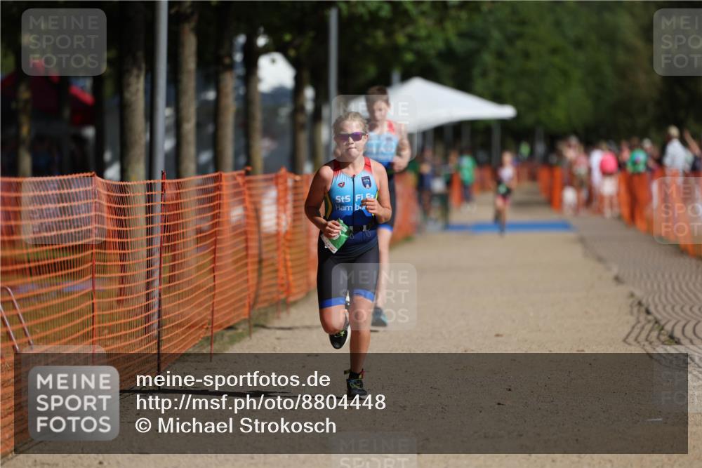 07.09.2025 - 19. Norderstedt Triathlon Michael Strokosch http://msf.ph/oto/8804448 07.09.2025 11:04:40 Laufen 100, 641, 650 meine-sportfotos.de