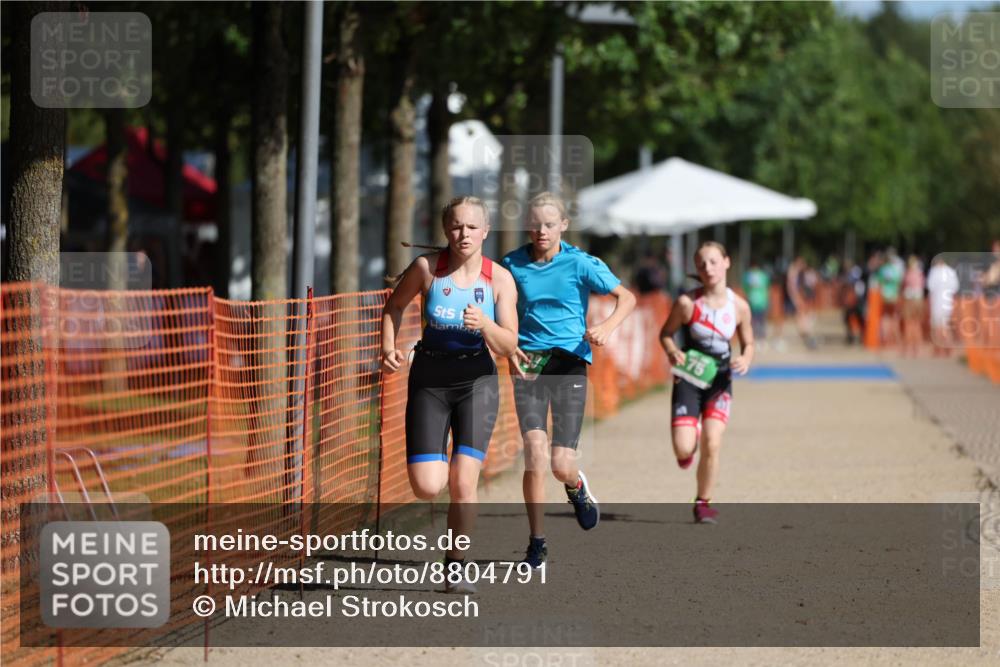 07.09.2025 - 19. Norderstedt Triathlon Michael Strokosch http://msf.ph/oto/8804791 07.09.2025 11:06:28 Laufen 67, 75, 133 meine-sportfotos.de