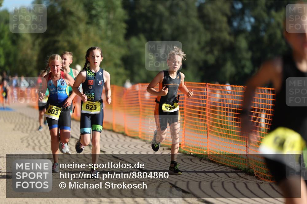 07.09.2025 - 19. Norderstedt Triathlon Michael Strokosch http://msf.ph/oto/8804880 07.09.2025 09:44:37 Laufen 559, 601, 603, 623, 625, 629 meine-sportfotos.de