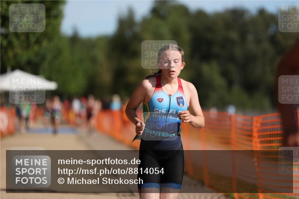 07.09.2025 - 19. Norderstedt Triathlon Michael Strokosch http://msf.ph/oto/8814054 07.09.2025 10:45:01 Laufen 108, 131, 1111, 1119 meine-sportfotos.de