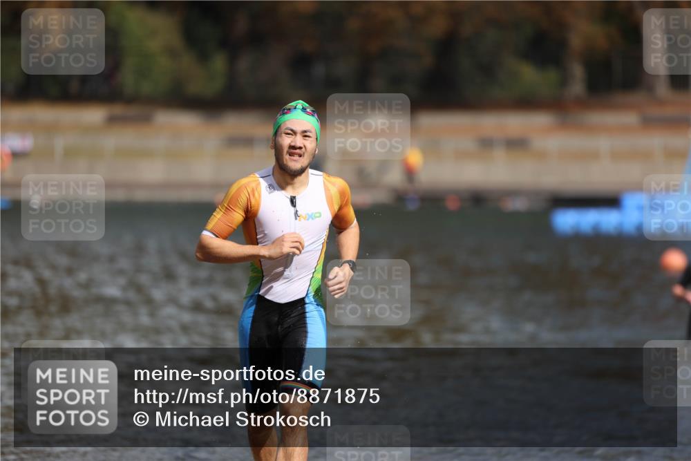 14.09.2025 - Stadtparktriathlon Michael Strokosch http://msf.ph/oto/8871875 14.09.2025 11:49:09 Schwimmen 1178, 1217 meine-sportfotos.de