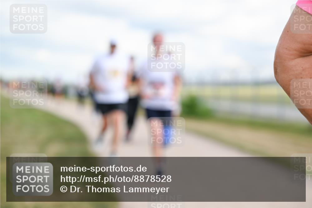 14.09.2025 - Airport Race Dr. Thomas Lammeyer http://msf.ph/oto/8878528 14.09.2025 12:26:20 Laufen  meine-sportfotos.de