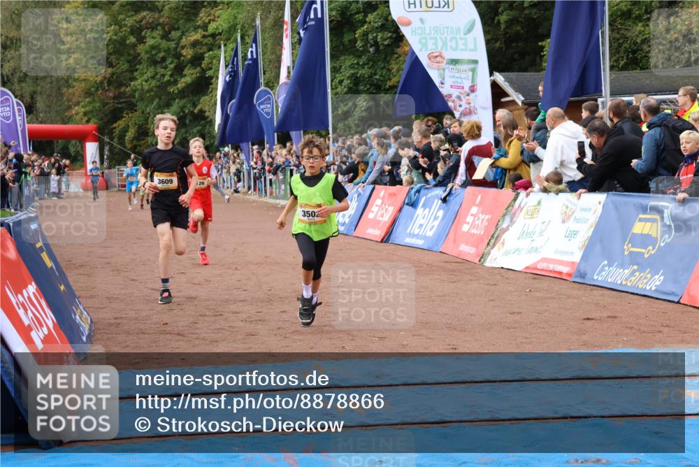 14.09.2025 - Airport Race Strokosch-Dieckow http://msf.ph/oto/8878866 14.09.2025 10:06:54 Ziel 3013, 3099, 3123, 3126, 3148, 3502, 3609, 3701 meine-sportfotos.de