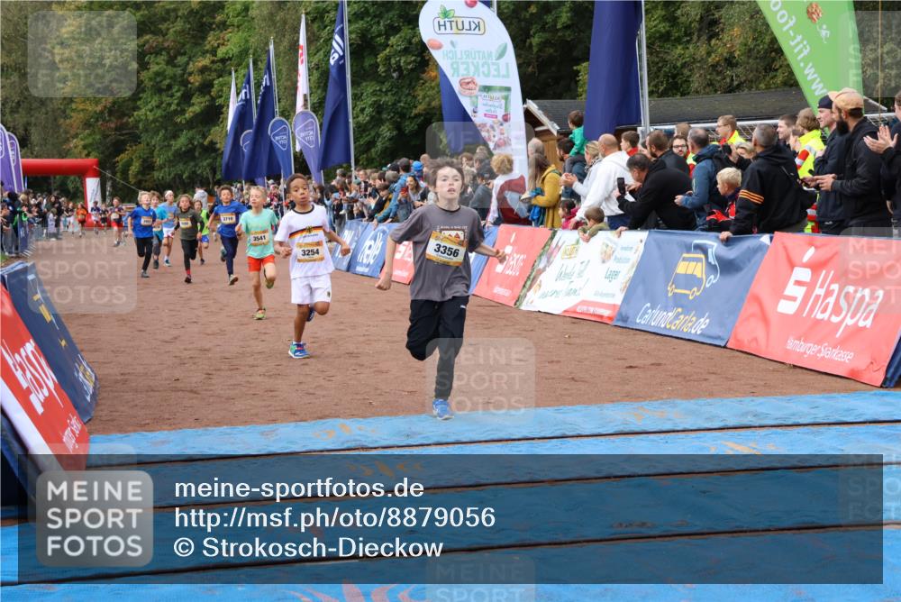 14.09.2025 - Airport Race Strokosch-Dieckow http://msf.ph/oto/8879056 14.09.2025 10:07:14 Ziel 3072, 3254, 3356, 3395, 3452, 3541, 3592, 3710, 3717 meine-sportfotos.de