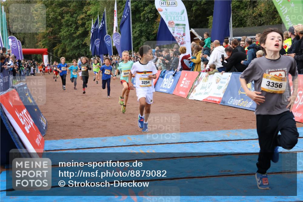 14.09.2025 - Airport Race Strokosch-Dieckow http://msf.ph/oto/8879082 14.09.2025 10:07:15 Ziel 3072, 3254, 3356, 3395, 3452, 3541, 3592, 3710, 3717 meine-sportfotos.de