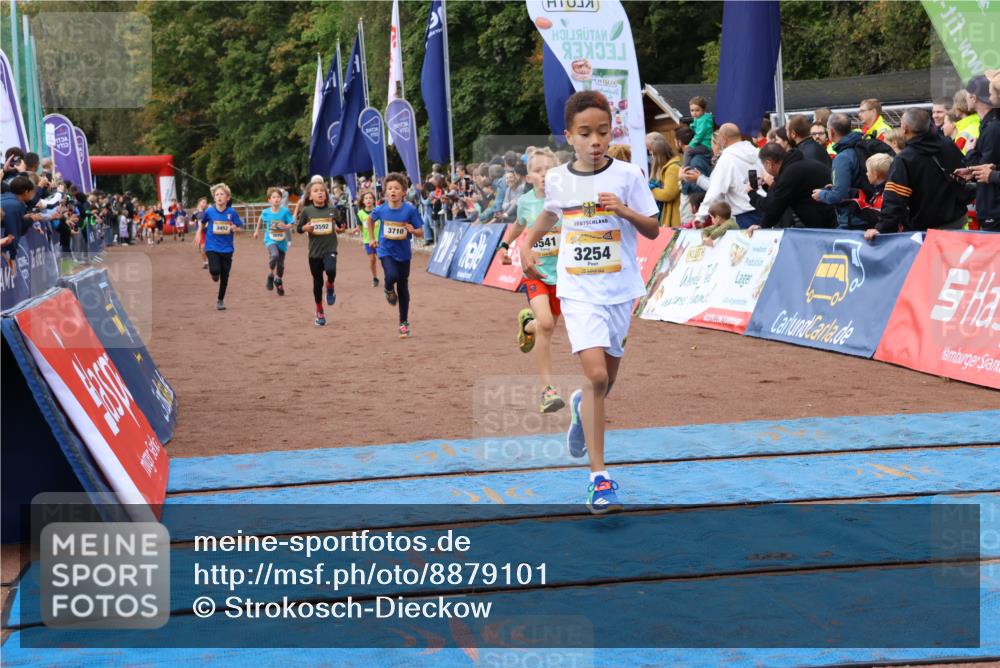 14.09.2025 - Airport Race Strokosch-Dieckow http://msf.ph/oto/8879101 14.09.2025 10:07:16 Ziel 3072, 3252, 3254, 3356, 3395, 3452, 3541, 3592, 3710, 3717 meine-sportfotos.de