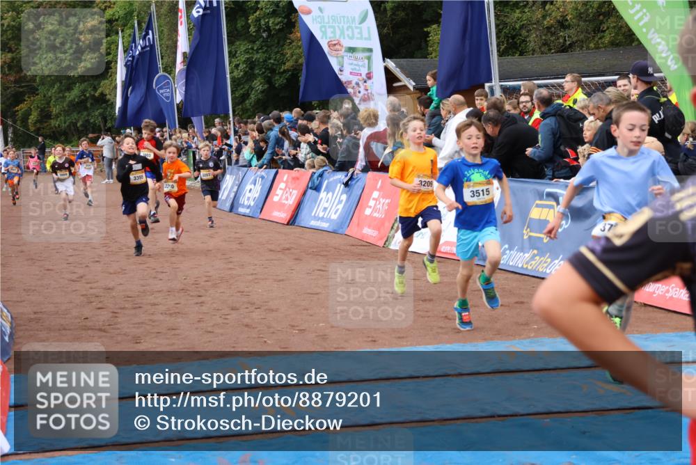 14.09.2025 - Airport Race Strokosch-Dieckow http://msf.ph/oto/8879201 14.09.2025 10:07:27 Ziel 3059, 3207, 3209, 3210, 3252, 3295, 3355, 3418, 3433, 3515, 3603, 3716 meine-sportfotos.de