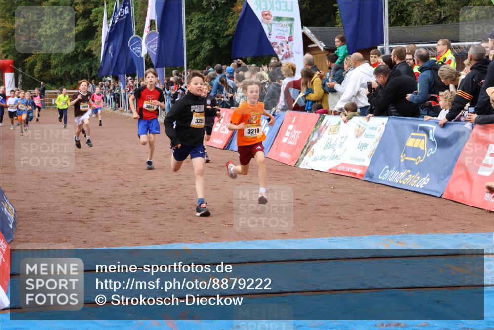 14.09.2025 - Airport Race Strokosch-Dieckow http://msf.ph/oto/8879222 14.09.2025 10:07:29 Ziel 3001, 3059, 3068, 3087, 3207, 3209, 3210, 3241, 3252, 3295, 3355, 3376, 3377, 3418, 3433, 3509, 3515, 3603, 3716, 3730 meine-sportfotos.de