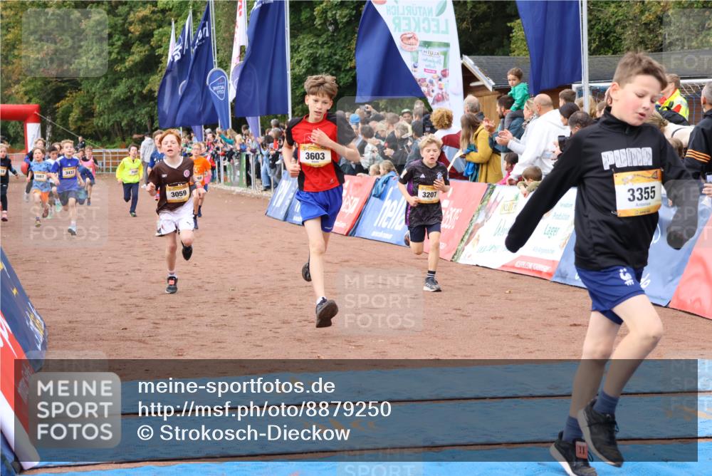 14.09.2025 - Airport Race Strokosch-Dieckow http://msf.ph/oto/8879250 14.09.2025 10:07:30 Ziel 3001, 3059, 3068, 3087, 3207, 3209, 3210, 3241, 3272, 3295, 3355, 3376, 3377, 3418, 3433, 3509, 3515, 3603, 3716, 3730 meine-sportfotos.de