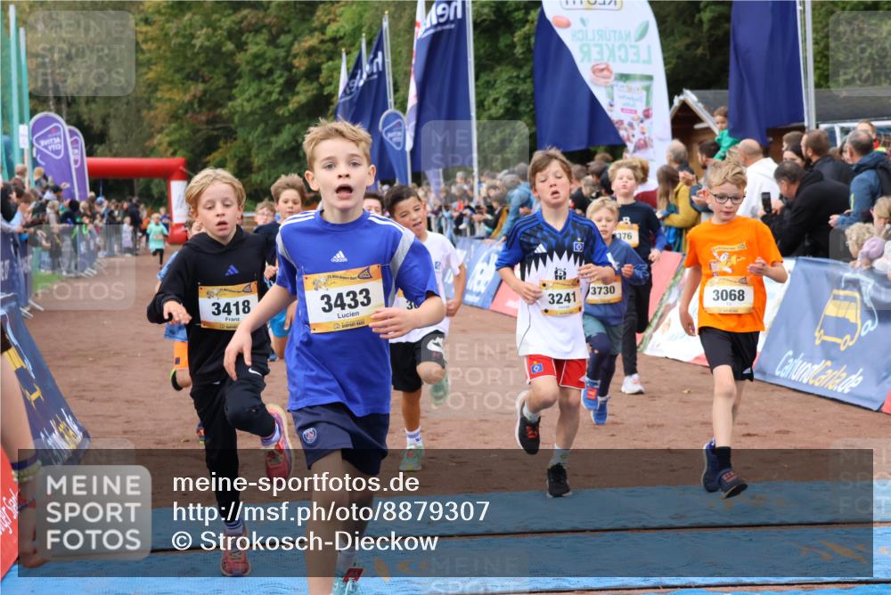 14.09.2025 - Airport Race Strokosch-Dieckow http://msf.ph/oto/8879307 14.09.2025 10:07:36 Ziel 3001, 3059, 3068, 3087, 3195, 3207, 3241, 3272, 3295, 3376, 3377, 3418, 3433, 3509, 3603, 3730, 3735 meine-sportfotos.de