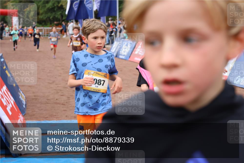 14.09.2025 - Airport Race Strokosch-Dieckow http://msf.ph/oto/8879339 14.09.2025 10:07:39 Ziel 3001, 3068, 3070, 3087, 3195, 3241, 3272, 3295, 3376, 3377, 3418, 3433, 3509, 3517, 3725, 3730, 3735 meine-sportfotos.de