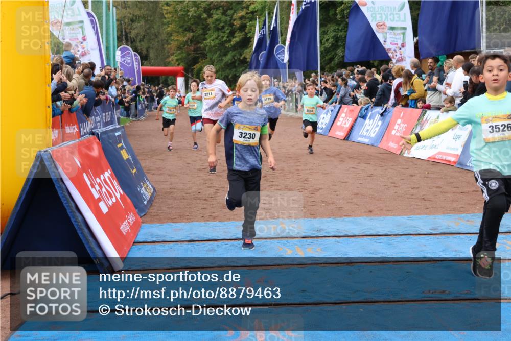 14.09.2025 - Airport Race Strokosch-Dieckow http://msf.ph/oto/8879463 14.09.2025 10:07:53 Ziel 3046, 3134, 3145, 3175, 3203, 3211, 3222, 3230, 3428, 3431, 3514, 3526, 3532, 3542, 3543, 3550 meine-sportfotos.de