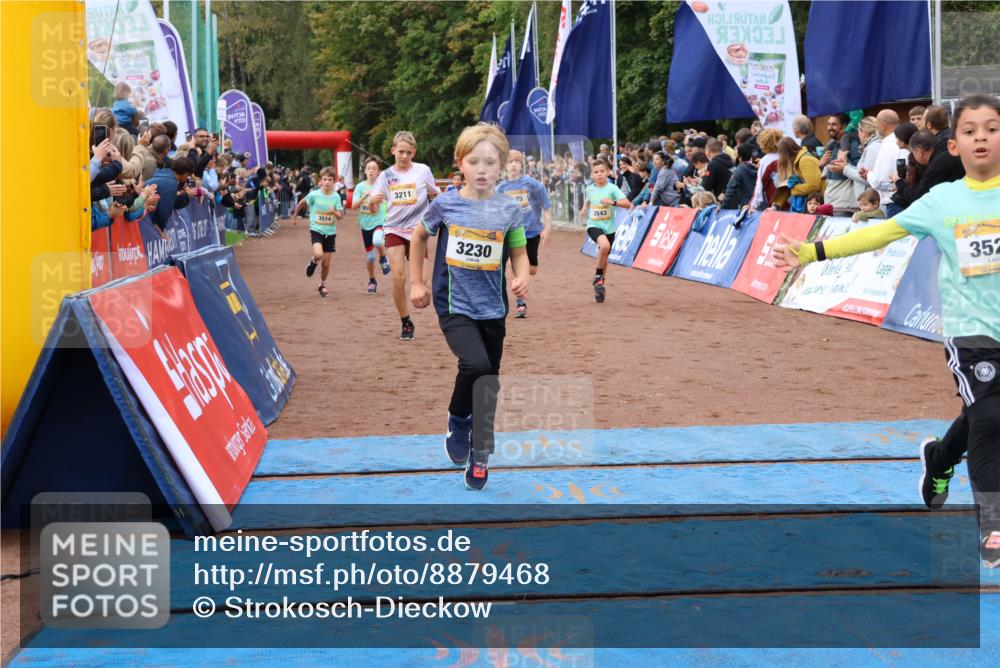 14.09.2025 - Airport Race Strokosch-Dieckow http://msf.ph/oto/8879468 14.09.2025 10:07:54 Ziel 3046, 3134, 3145, 3175, 3203, 3211, 3222, 3230, 3397, 3428, 3431, 3514, 3526, 3532, 3542, 3543, 3550 meine-sportfotos.de