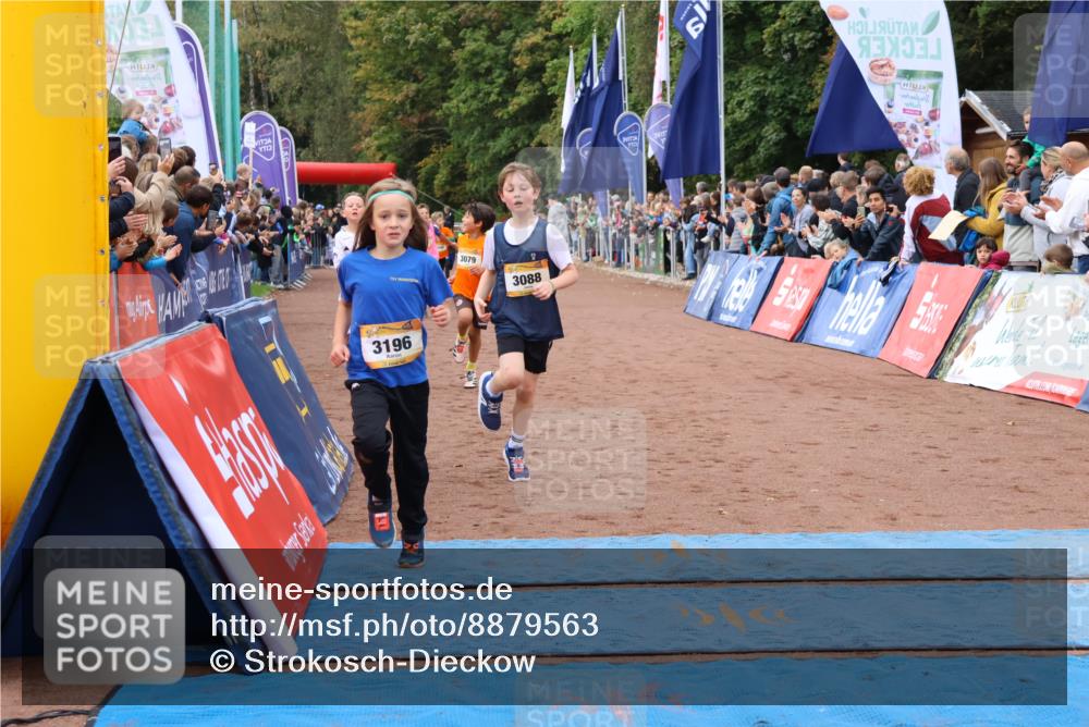 14.09.2025 - Airport Race Strokosch-Dieckow http://msf.ph/oto/8879563 14.09.2025 10:08:07 Ziel 3007, 3079, 3088, 3092, 3196, 3262, 3302, 3396, 3397, 3438, 3605, 3743 meine-sportfotos.de