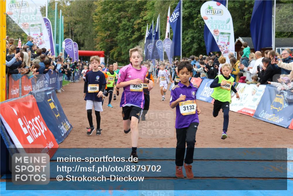 14.09.2025 - Airport Race Strokosch-Dieckow http://msf.ph/oto/8879702 14.09.2025 10:08:21 Ziel 3011, 3080, 3089, 3091, 3094, 3110, 3121, 3132, 3155, 3193, 3204, 3205, 3206, 3242, 3246, 3282, 3289, 3307, 3366, 3371, 3373, 3508, 3516, 3522 meine-sportfotos.de