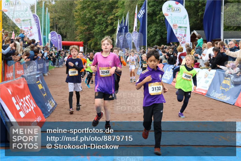 14.09.2025 - Airport Race Strokosch-Dieckow http://msf.ph/oto/8879715 14.09.2025 10:08:21 Ziel 3011, 3080, 3089, 3091, 3094, 3110, 3121, 3132, 3155, 3193, 3204, 3205, 3206, 3242, 3246, 3282, 3289, 3307, 3366, 3371, 3373, 3508, 3516, 3522 meine-sportfotos.de