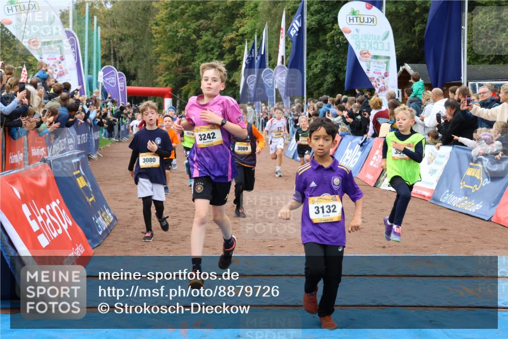 14.09.2025 - Airport Race Strokosch-Dieckow http://msf.ph/oto/8879726 14.09.2025 10:08:21 Ziel 3011, 3080, 3089, 3091, 3094, 3110, 3121, 3132, 3155, 3193, 3204, 3205, 3206, 3242, 3246, 3282, 3289, 3307, 3366, 3371, 3373, 3508, 3516, 3522 meine-sportfotos.de