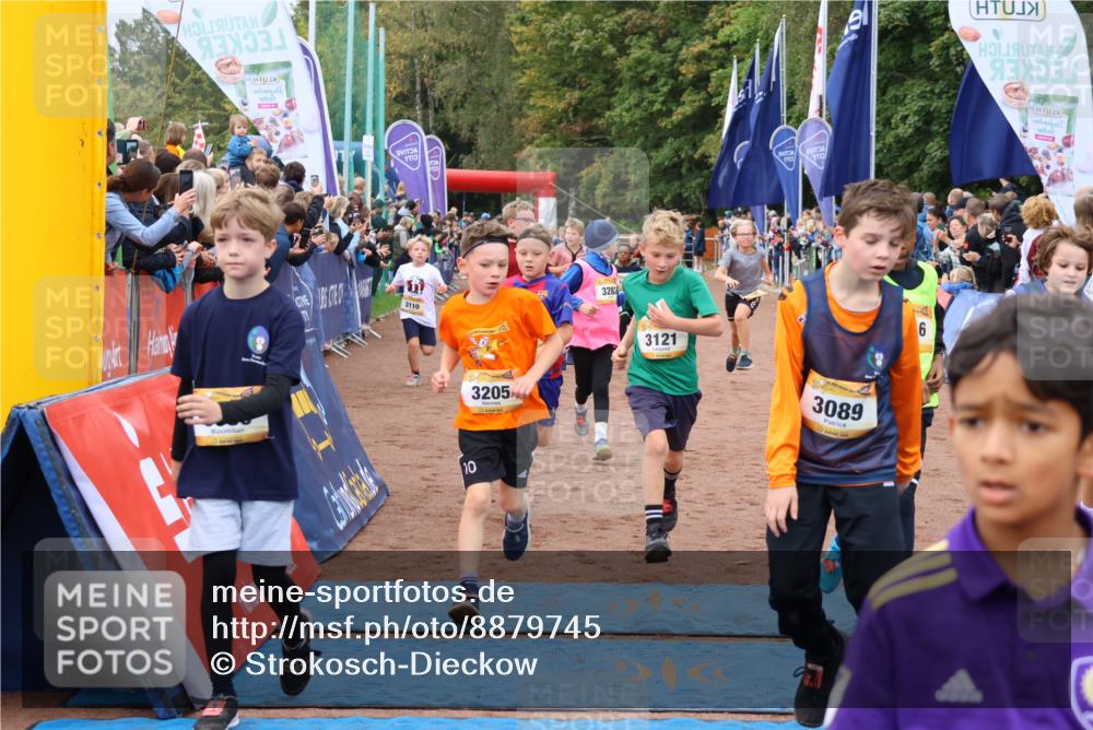 14.09.2025 - Airport Race Strokosch-Dieckow http://msf.ph/oto/8879745 14.09.2025 10:08:24 Ziel 3011, 3049, 3080, 3089, 3091, 3094, 3110, 3121, 3132, 3155, 3193, 3204, 3205, 3206, 3242, 3246, 3282, 3289, 3508, 3516, 3528 meine-sportfotos.de