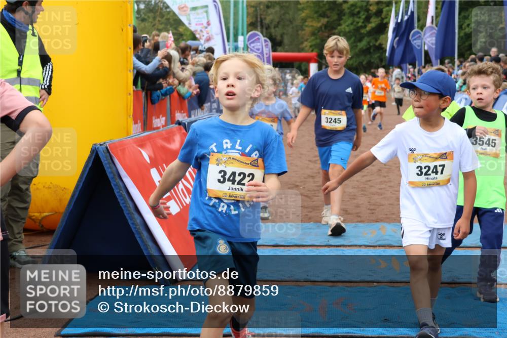 14.09.2025 - Airport Race Strokosch-Dieckow http://msf.ph/oto/8879859 14.09.2025 10:08:45 Ziel 3034, 3045, 3143, 3188, 3245, 3247, 3374, 3398, 3413, 3419, 3422, 3430, 3432, 3537, 3545, 3597, 3702, 3704, 3723 meine-sportfotos.de