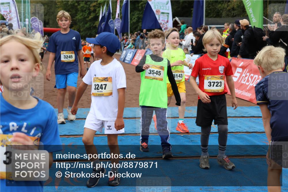 14.09.2025 - Airport Race Strokosch-Dieckow http://msf.ph/oto/8879871 14.09.2025 10:08:46 Ziel 3034, 3045, 3143, 3188, 3245, 3247, 3374, 3398, 3413, 3419, 3422, 3430, 3432, 3511, 3537, 3545, 3597, 3702, 3704, 3723 meine-sportfotos.de