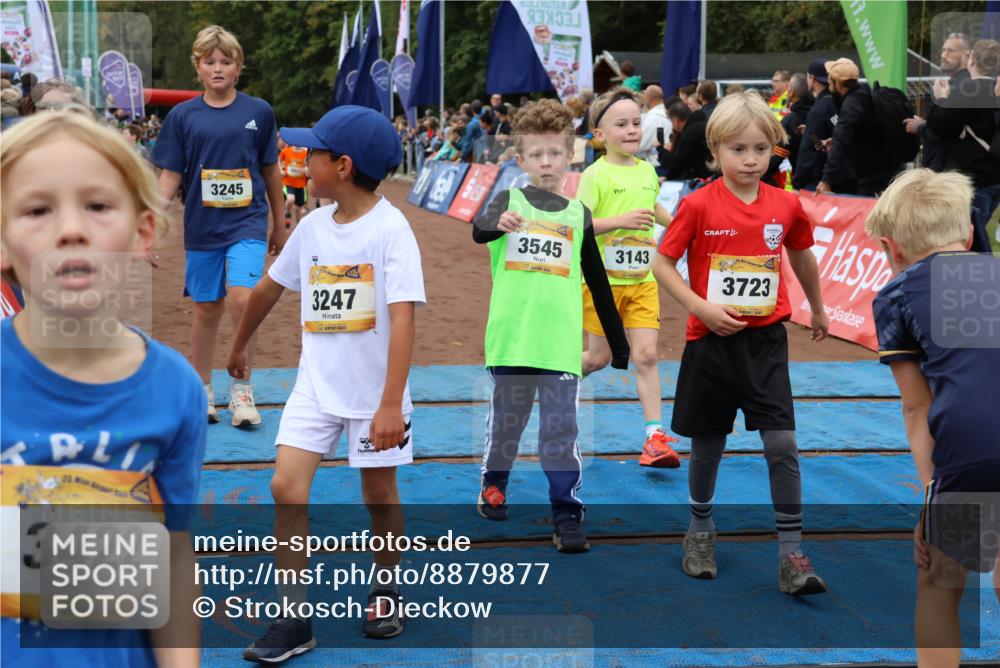 14.09.2025 - Airport Race Strokosch-Dieckow http://msf.ph/oto/8879877 14.09.2025 10:08:46 Ziel 3034, 3045, 3143, 3188, 3245, 3247, 3374, 3398, 3413, 3419, 3422, 3430, 3432, 3511, 3537, 3545, 3597, 3702, 3704, 3723 meine-sportfotos.de