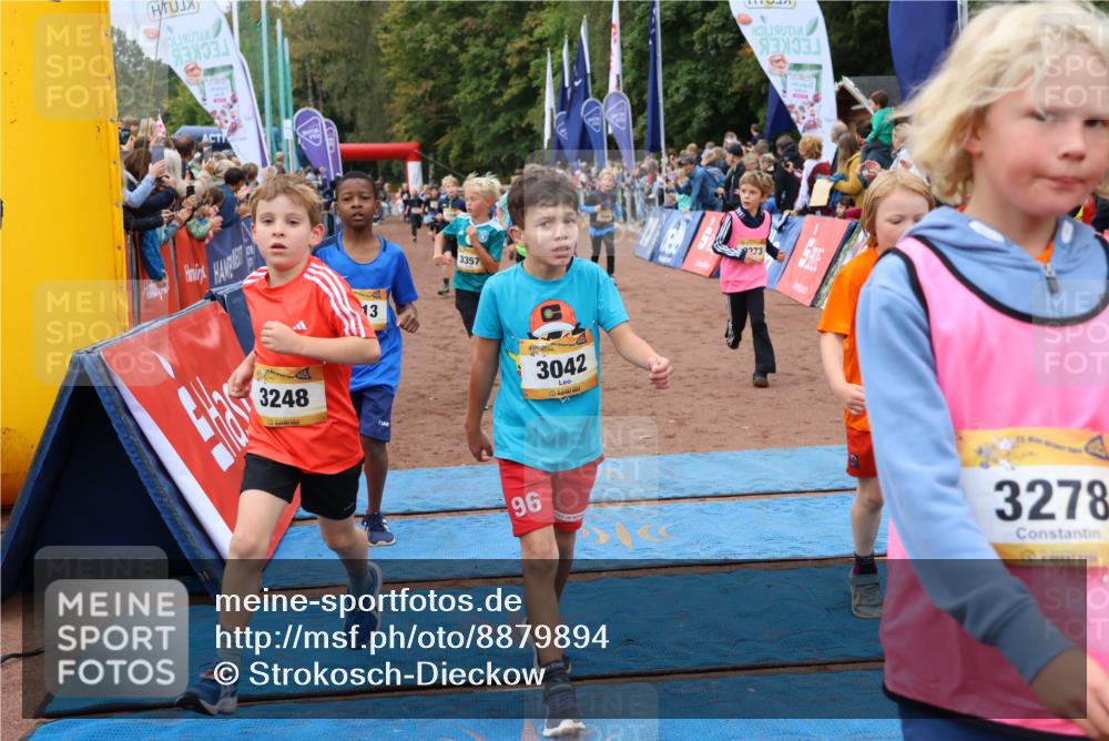 14.09.2025 - Airport Race Strokosch-Dieckow http://msf.ph/oto/8879894 14.09.2025 10:09:00 Ziel 3042, 3075, 3076, 3163, 3164, 3220, 3248, 3273, 3278, 3292, 3357, 3358, 3414, 3427, 3443, 3501, 3533, 3586, 3588, 3598, 3713 meine-sportfotos.de