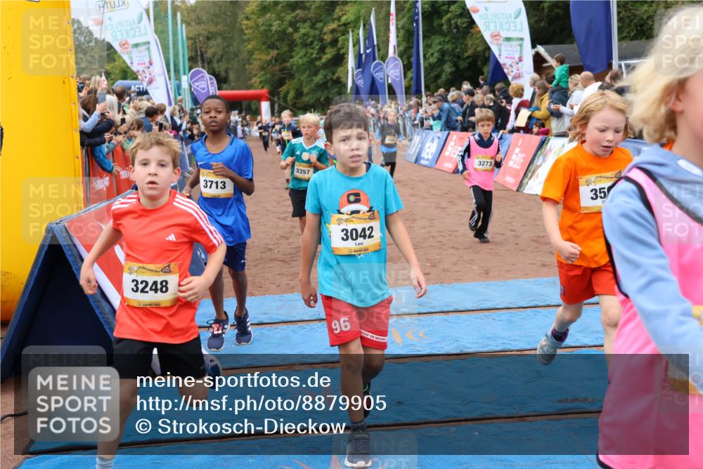 14.09.2025 - Airport Race Strokosch-Dieckow http://msf.ph/oto/8879905 14.09.2025 10:09:00 Ziel 3042, 3075, 3076, 3163, 3164, 3220, 3248, 3273, 3278, 3292, 3357, 3358, 3414, 3427, 3443, 3501, 3533, 3586, 3588, 3598, 3713 meine-sportfotos.de