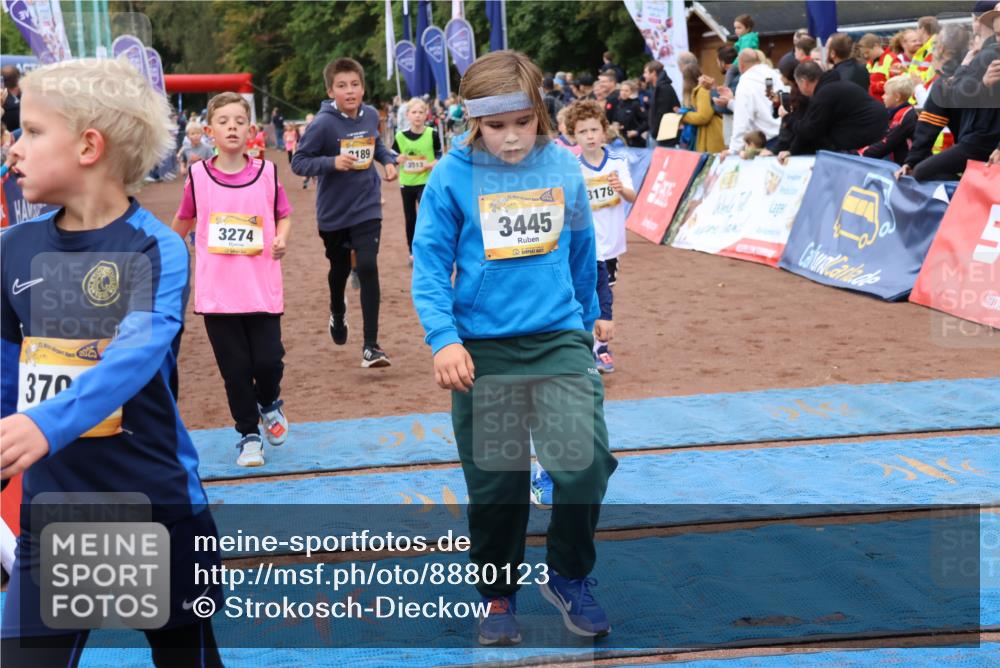 14.09.2025 - Airport Race Strokosch-Dieckow http://msf.ph/oto/8880123 14.09.2025 10:09:32 Ziel 3023, 3026, 3073, 3158, 3178, 3185, 3189, 3274, 3305, 3308, 3445, 3446, 3455, 3513, 3551, 3611, 3706 meine-sportfotos.de