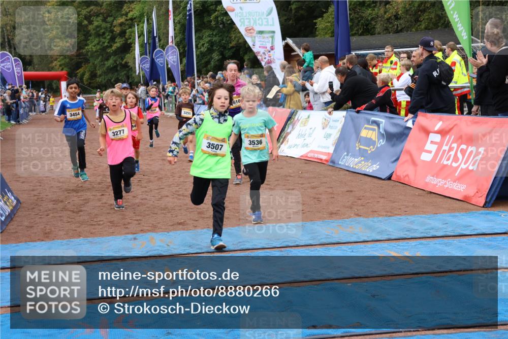 14.09.2025 - Airport Race Strokosch-Dieckow http://msf.ph/oto/8880266 14.09.2025 10:09:50 Ziel 3037, 3198, 3264, 3277, 3288, 3293, 3298, 3417, 3444, 3454, 3507, 3536, 3599, 3610, 3744 meine-sportfotos.de
