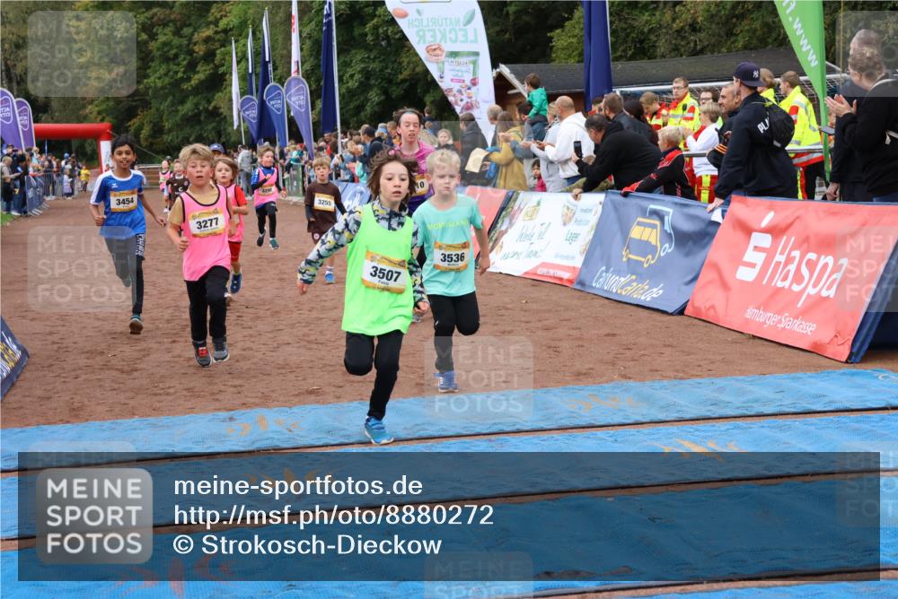 14.09.2025 - Airport Race Strokosch-Dieckow http://msf.ph/oto/8880272 14.09.2025 10:09:50 Ziel 3037, 3198, 3264, 3277, 3288, 3293, 3298, 3417, 3444, 3454, 3507, 3536, 3599, 3610, 3744 meine-sportfotos.de