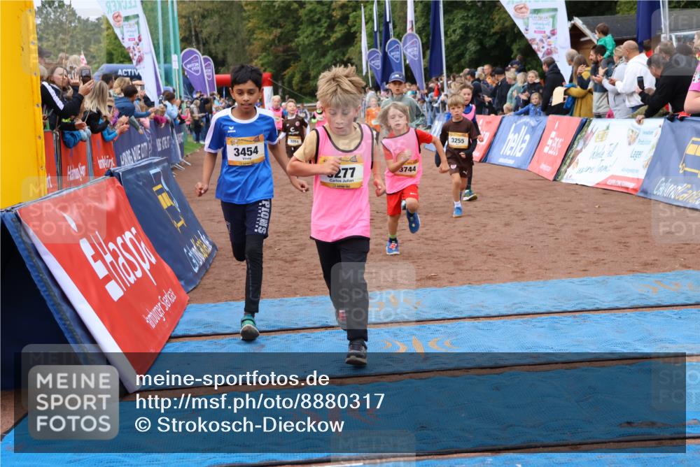 14.09.2025 - Airport Race Strokosch-Dieckow http://msf.ph/oto/8880317 14.09.2025 10:09:51 Ziel 3037, 3198, 3264, 3277, 3285, 3288, 3293, 3298, 3417, 3444, 3454, 3507, 3536, 3599, 3610, 3744 meine-sportfotos.de