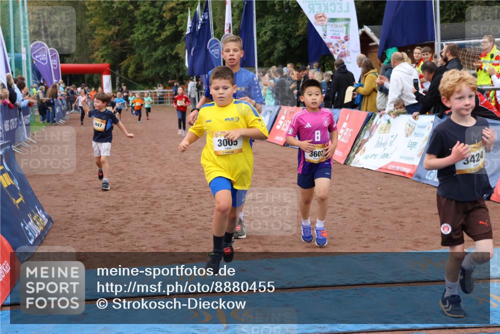 14.09.2025 - Airport Race Strokosch-Dieckow http://msf.ph/oto/8880455 14.09.2025 10:10:07 Ziel 3005, 3115, 3135, 3177, 3180, 3182, 3184, 3411, 3412, 3424, 3447, 3607 meine-sportfotos.de