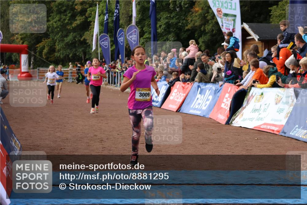 14.09.2025 - Airport Race Strokosch-Dieckow http://msf.ph/oto/8881295 14.09.2025 10:27:12 Ziel 3009, 3014, 3024, 3137, 3232, 3260 meine-sportfotos.de