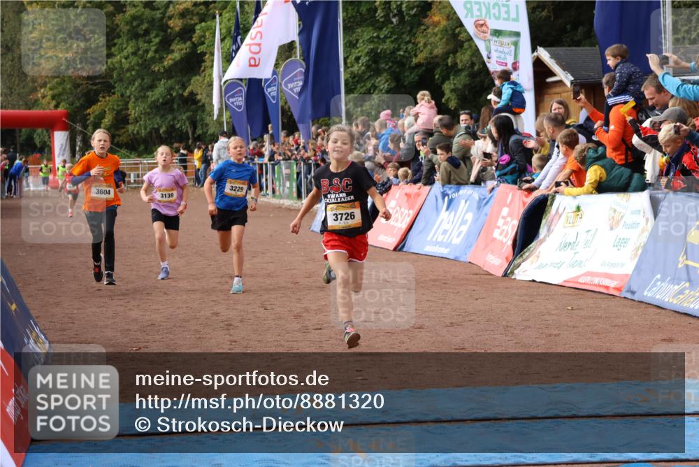 14.09.2025 - Airport Race Strokosch-Dieckow http://msf.ph/oto/8881320 14.09.2025 10:27:37 Ziel 3029, 3139, 3229, 3604, 3708, 3726 meine-sportfotos.de