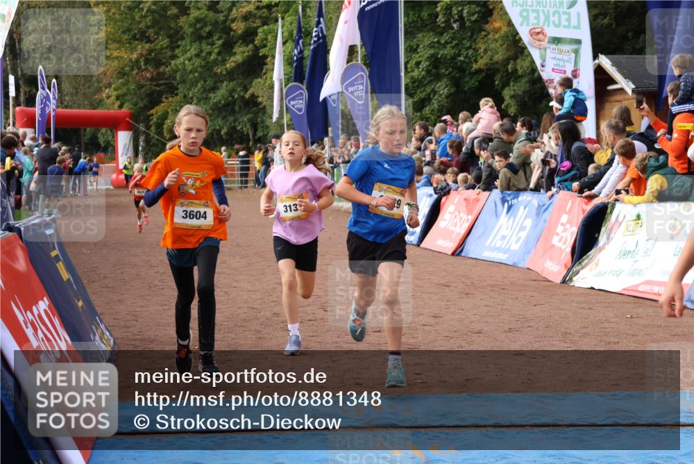 14.09.2025 - Airport Race Strokosch-Dieckow http://msf.ph/oto/8881348 14.09.2025 10:27:39 Ziel 3029, 3139, 3229, 3604, 3708, 3726 meine-sportfotos.de