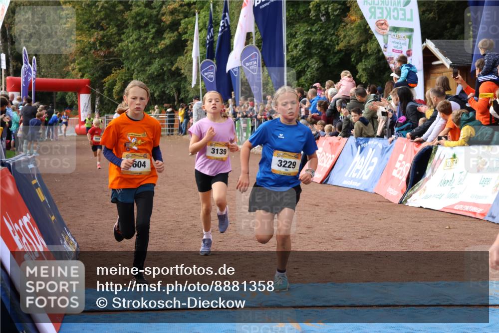 14.09.2025 - Airport Race Strokosch-Dieckow http://msf.ph/oto/8881358 14.09.2025 10:27:39 Ziel 3029, 3139, 3229, 3604, 3708, 3726 meine-sportfotos.de