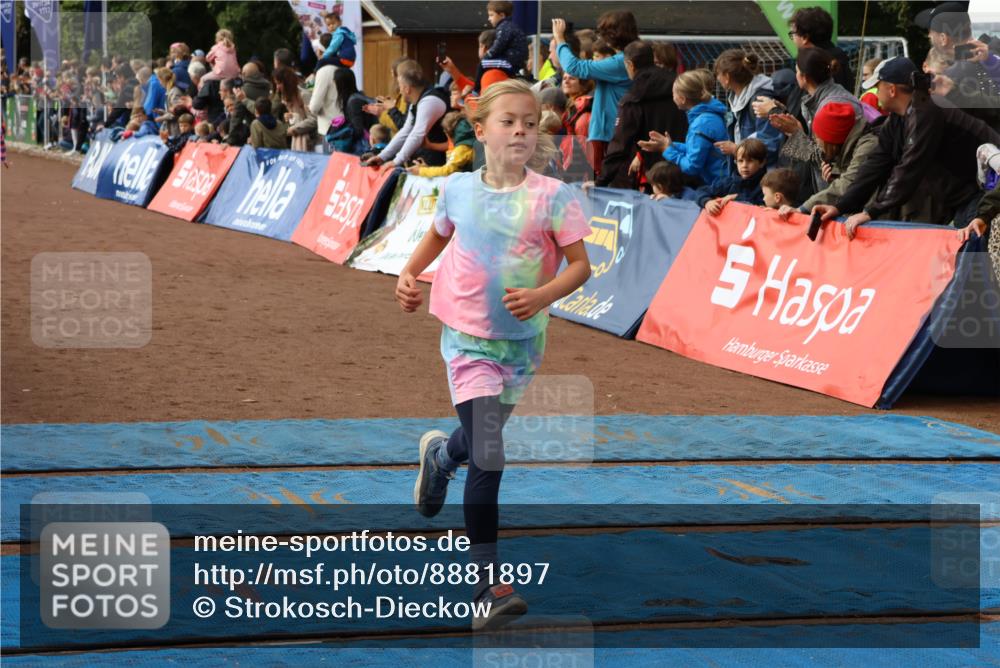 14.09.2025 - Airport Race Strokosch-Dieckow http://msf.ph/oto/8881897 14.09.2025 10:28:08 Ziel 3133, 3136, 3159, 3160, 3226, 3384, 3386, 3497 meine-sportfotos.de