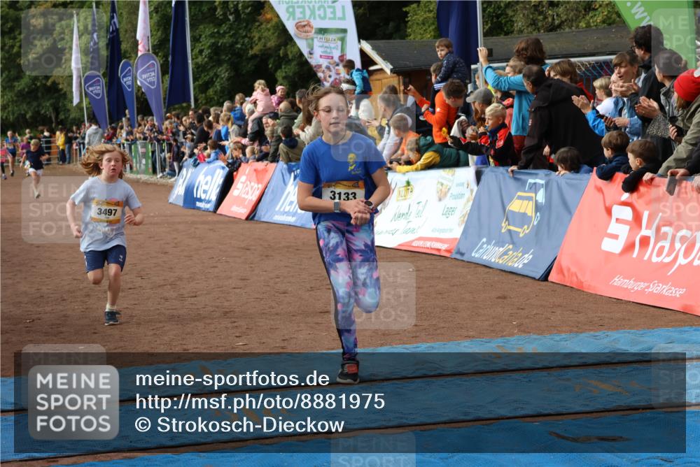 14.09.2025 - Airport Race Strokosch-Dieckow http://msf.ph/oto/8881975 14.09.2025 10:28:13 Ziel 3035, 3133, 3381, 3384, 3497 meine-sportfotos.de