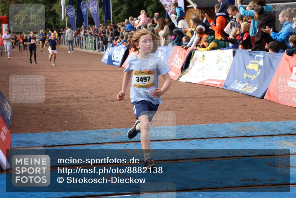 14.09.2025 - Airport Race Strokosch-Dieckow http://msf.ph/oto/8882138 14.09.2025 10:28:14 Ziel 3035, 3133, 3381, 3384, 3497 meine-sportfotos.de