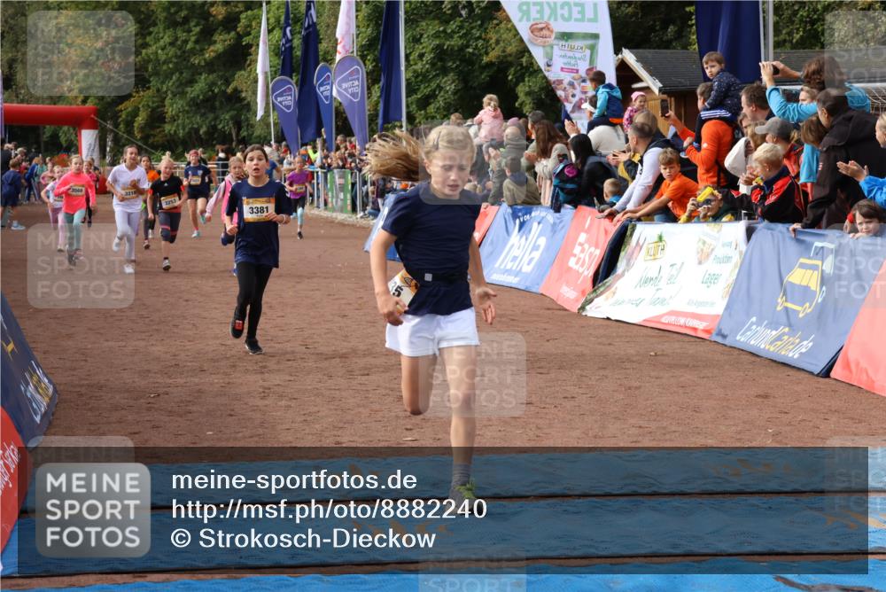 14.09.2025 - Airport Race Strokosch-Dieckow http://msf.ph/oto/8882240 14.09.2025 10:28:19 Ziel 3033, 3035, 3098, 3127, 3169, 3218, 3227, 3253, 3330, 3381, 3388, 3461, 3556, 3569, 5094 meine-sportfotos.de