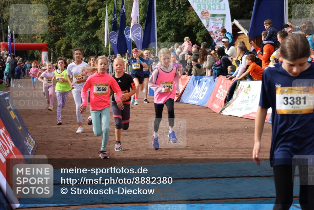 14.09.2025 - Airport Race Strokosch-Dieckow http://msf.ph/oto/8882380 14.09.2025 10:28:23 Ziel 3033, 3035, 3098, 3127, 3142, 3169, 3218, 3227, 3253, 3330, 3381, 3388, 3394, 3461, 3466, 3468, 3473, 3556, 3569, 3579, 5094 meine-sportfotos.de