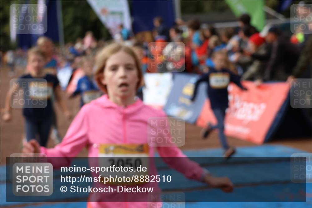 14.09.2025 - Airport Race Strokosch-Dieckow http://msf.ph/oto/8882510 14.09.2025 10:28:31 Ziel 3071, 3093, 3098, 3142, 3169, 3212, 3227, 3394, 3461, 3466, 3468, 3473, 3572, 3579, 3608, 5094 meine-sportfotos.de