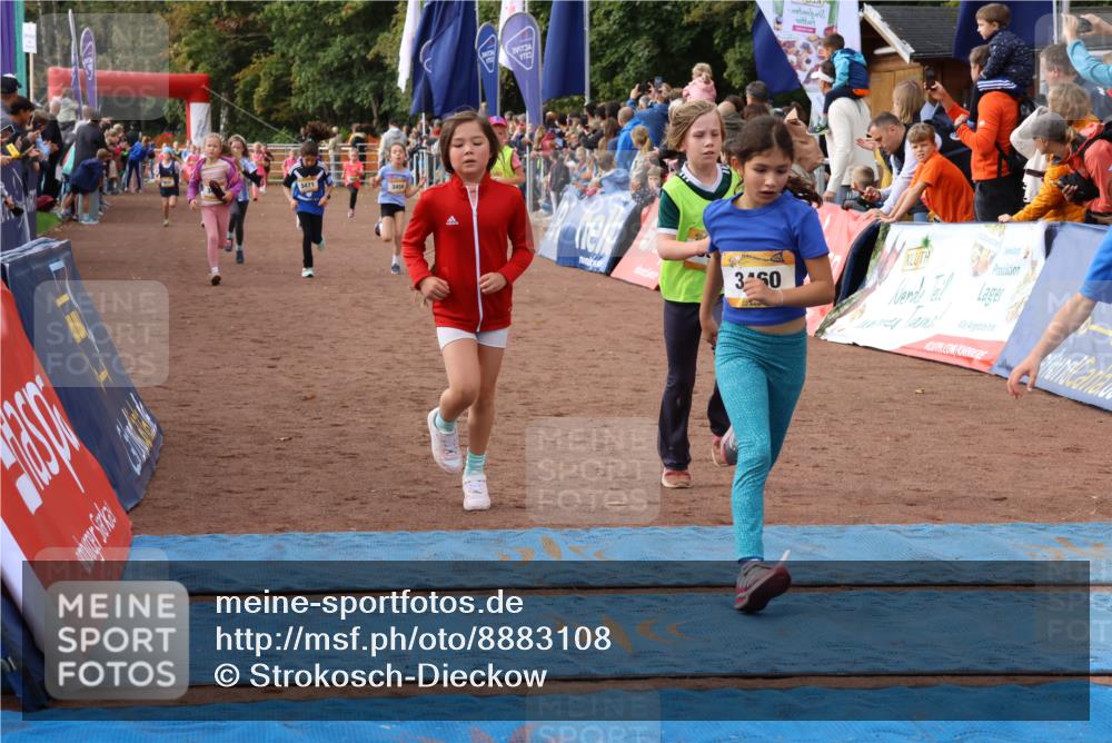 14.09.2025 - Airport Race Strokosch-Dieckow http://msf.ph/oto/8883108 14.09.2025 10:28:45 Ziel 3081, 3228, 3393, 3456, 3457, 3458, 3460, 3471, 3488, 3489, 3559, 3563, 3578 meine-sportfotos.de