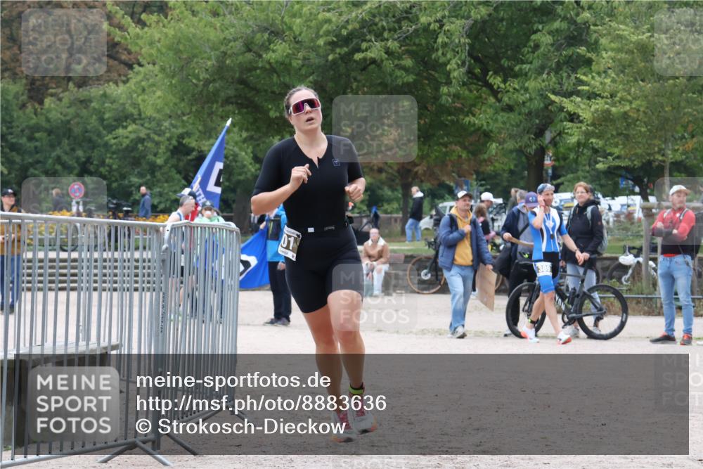 14.09.2025 - Stadtparktriathlon Strokosch-Dieckow http://msf.ph/oto/8883636 14.09.2025 10:15:31 Ziel 501 meine-sportfotos.de